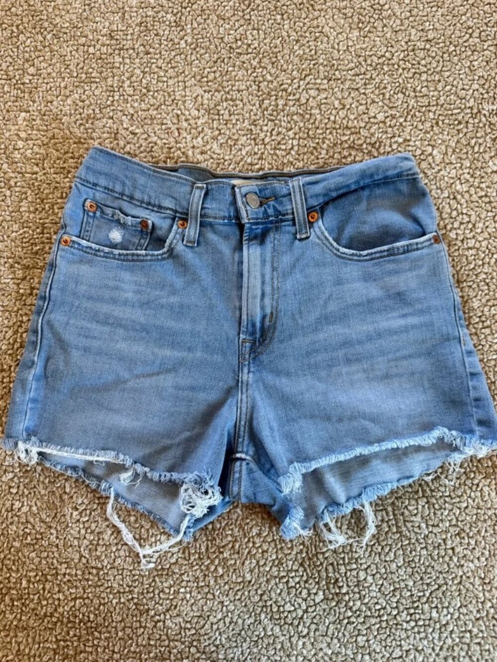 Levi’s High Rise Denim Cutoff Shorts Size 27 Light Wash Frayed Hem